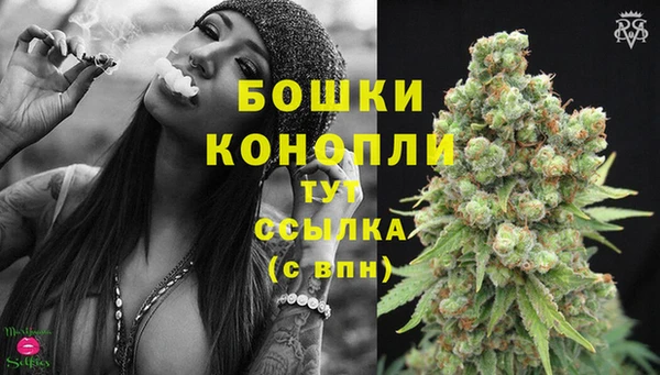 тгк Майский