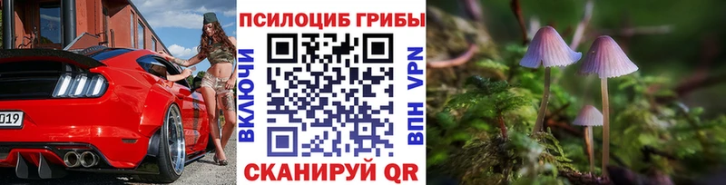 Купить где  Красавино  Псилоцибиновые грибы GOLDEN TEACHER 